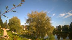 Rosarium Webcam