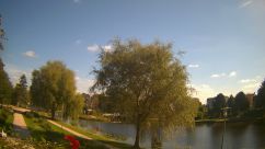 Rosarium Webcam