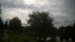 Rosarium Webcam