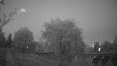 Rosarium Webcam