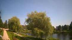 Rosarium Webcam