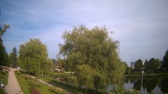 Rosarium Webcam