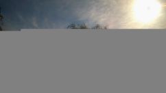 Rosarium Webcam