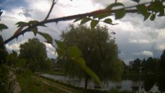 Rosarium Webcam