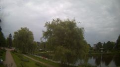 Rosarium Webcam
