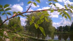 Rosarium Webcam