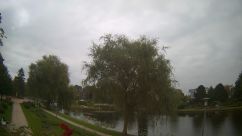 Rosarium Webcam