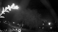 Rosarium Webcam