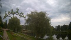 Rosarium Webcam