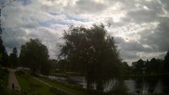 Rosarium Webcam
