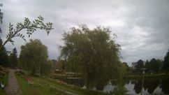 Rosarium Webcam