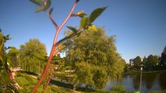 Rosarium Webcam