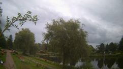 Rosarium Webcam