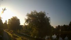 Rosarium Webcam