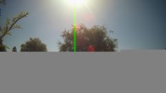 Rosarium Webcam