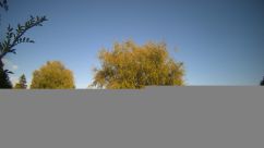 Rosarium Webcam