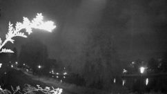 Rosarium Webcam