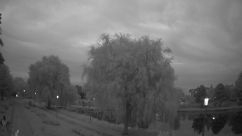 Rosarium Webcam
