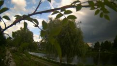 Rosarium Webcam