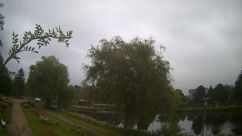 Rosarium Webcam
