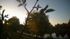 Rosarium Webcam
