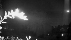 Rosarium Webcam