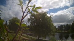 Rosarium Webcam
