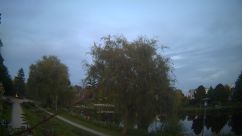 Rosarium Webcam