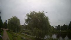 Rosarium Webcam