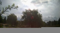 Rosarium Webcam