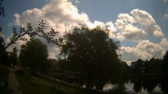 Rosarium Webcam
