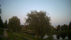 Rosarium Webcam