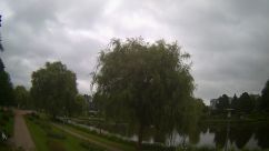 Rosarium Webcam