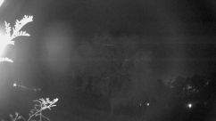 Rosarium Webcam