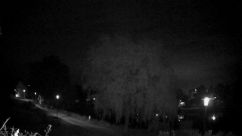 Rosarium Webcam