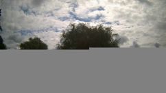 Rosarium Webcam