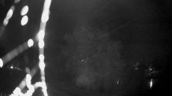 Rosarium Webcam