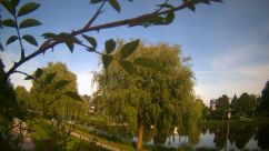 Rosarium Webcam