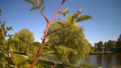 Rosarium Webcam