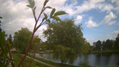Rosarium Webcam