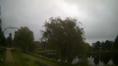 Rosarium Webcam