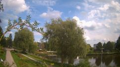 Rosarium Webcam