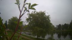 Rosarium Webcam