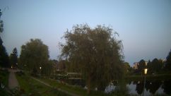 Rosarium Webcam