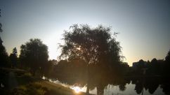Rosarium Webcam
