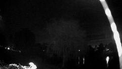 Rosarium Webcam
