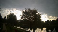 Rosarium Webcam