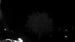 Rosarium Webcam
