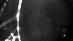 Rosarium Webcam