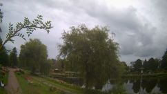 Rosarium Webcam